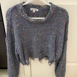 Wild Honey Distressed Confetti Sweater